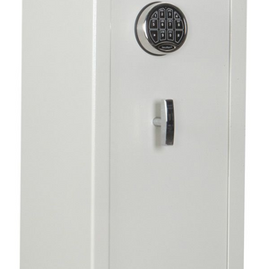 5 Gun Safes